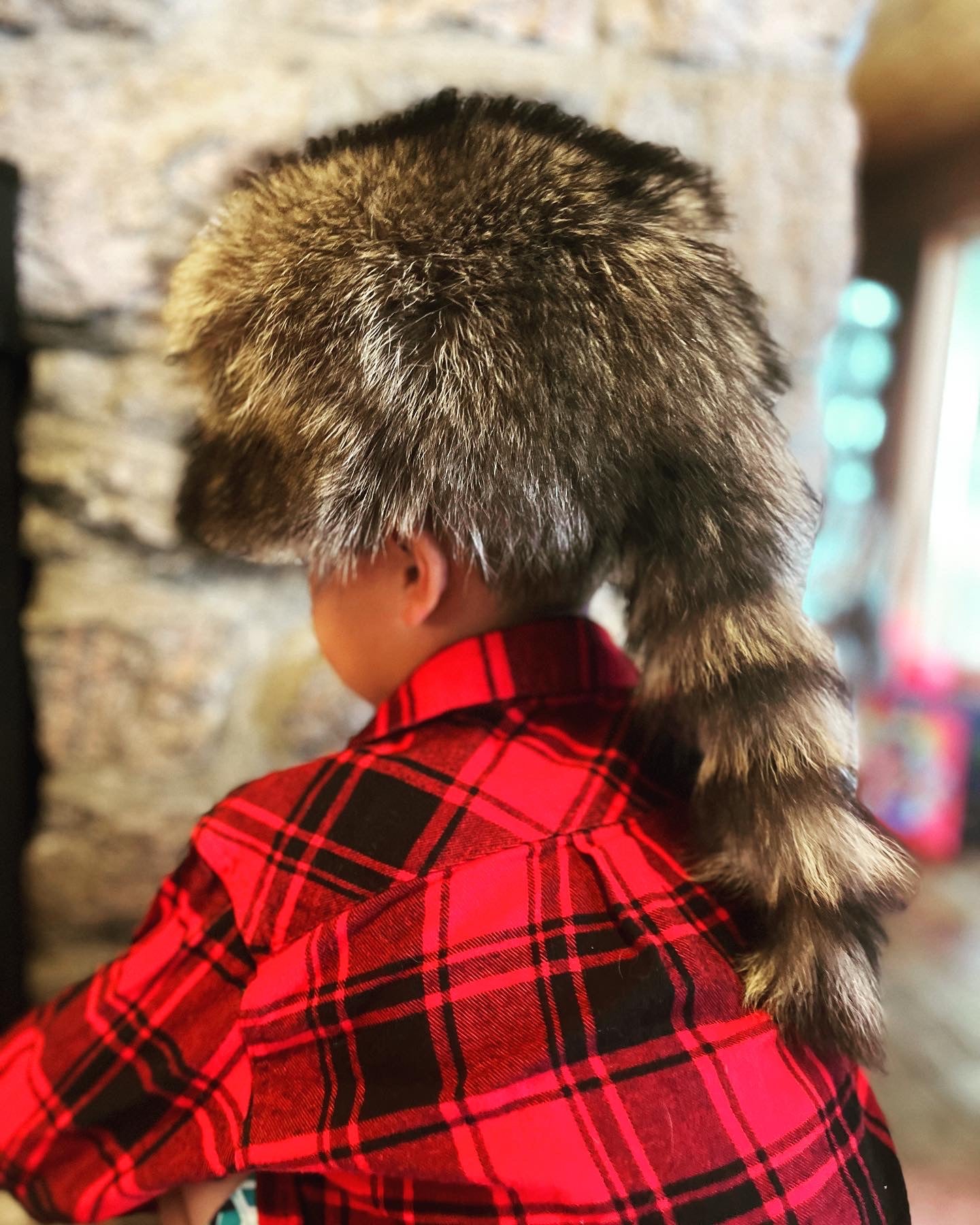 Raccoon Skin Hat