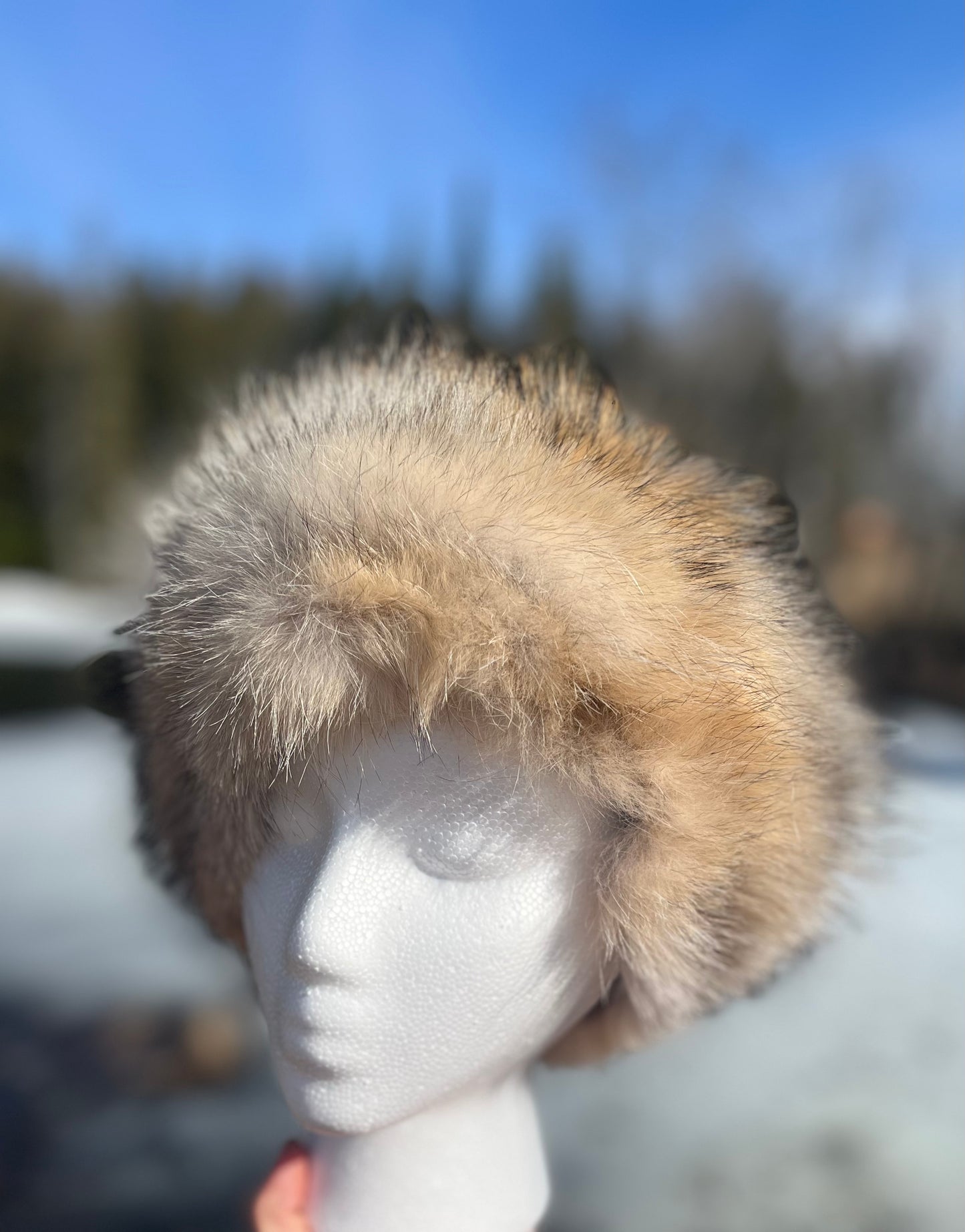 Coyote Headband
