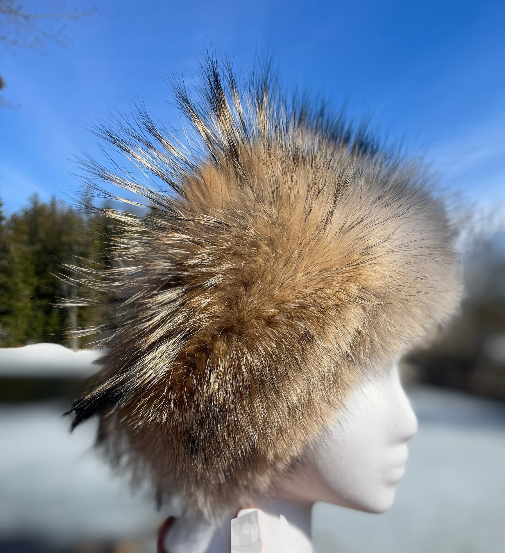 Coyote Headband