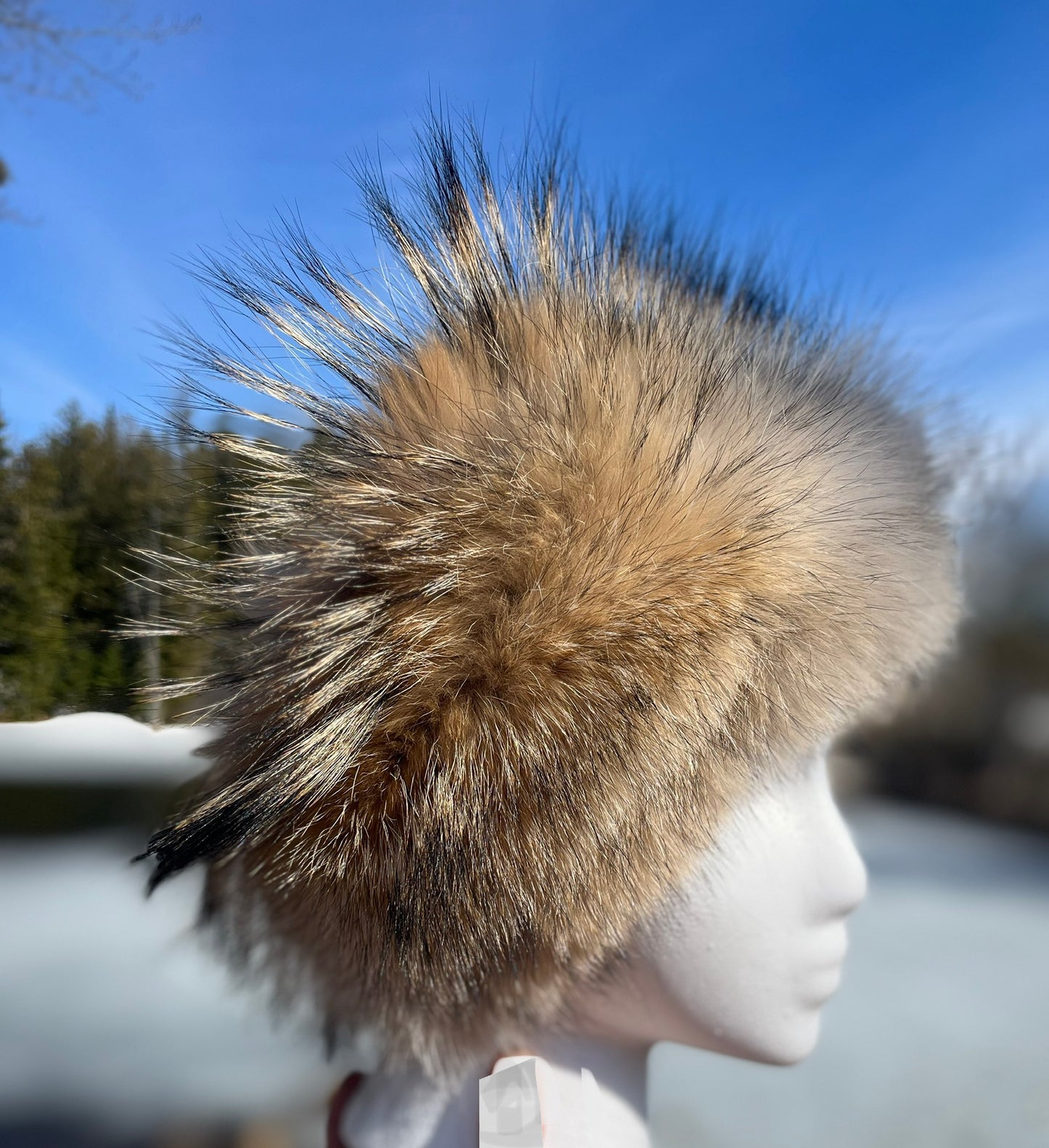 Coyote Headband