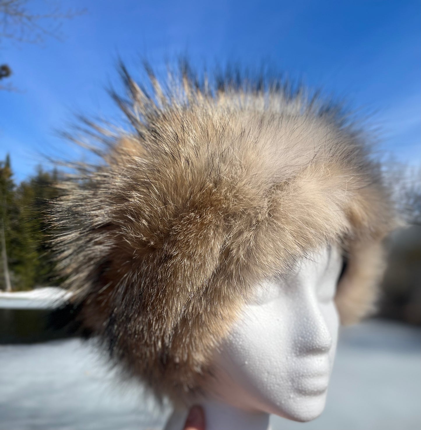 Coyote Headband