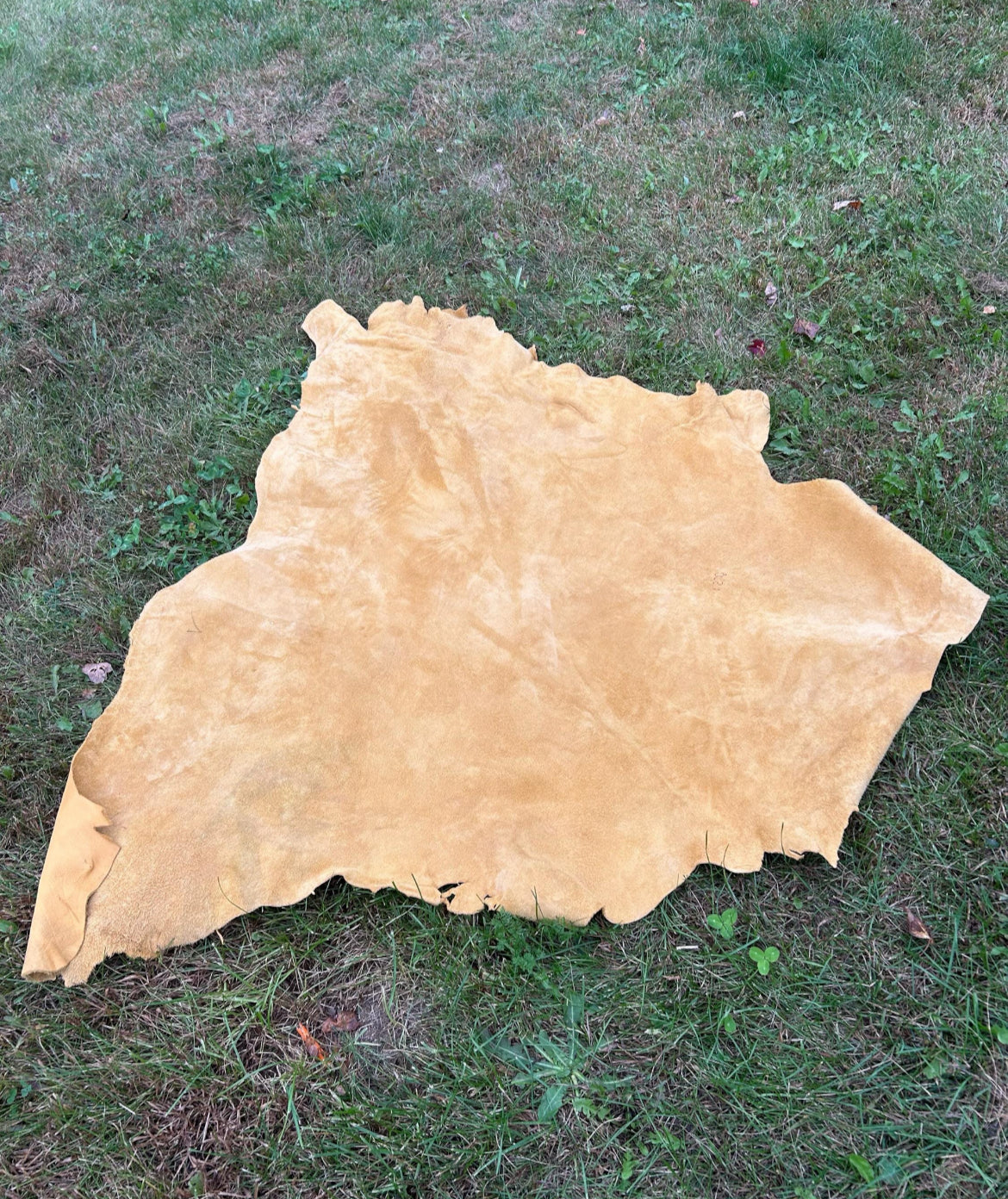 Buffalo leather