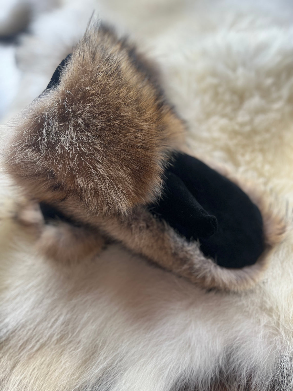 Coyote mittens with sheared sheep liners