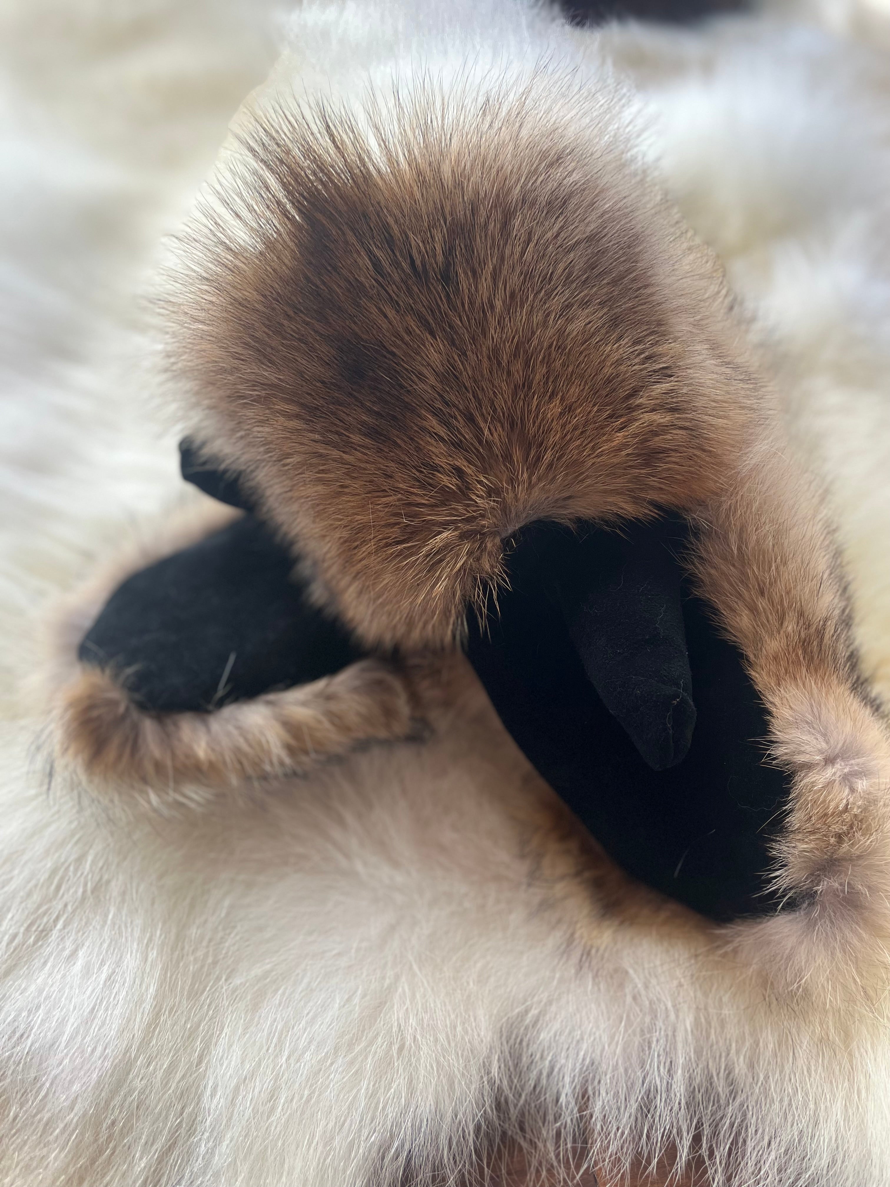 Coyote mittens with sheared sheep liners