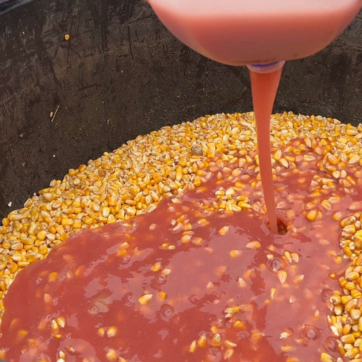 Cherry Dynamite Wildlife Attractant Mix